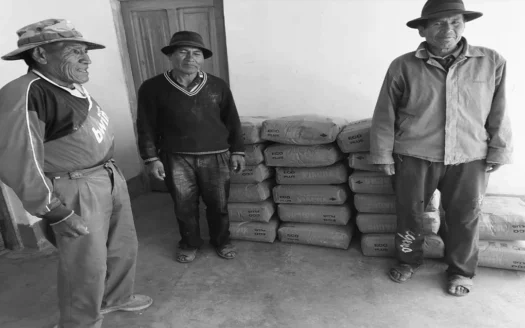 Calamarca-LP-BO